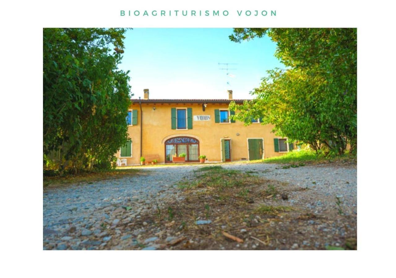 Bio Agriturismo Vojon Villa Ponti sul Mincio Exterior foto